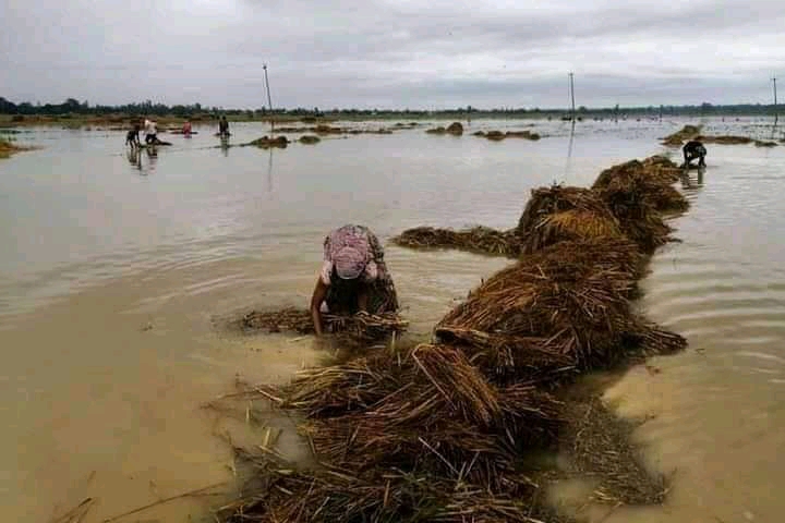 बुधबारसम्म भारी वर्षाको चेतावनी,उच्च सतर्कता अपनाउन आग्रह