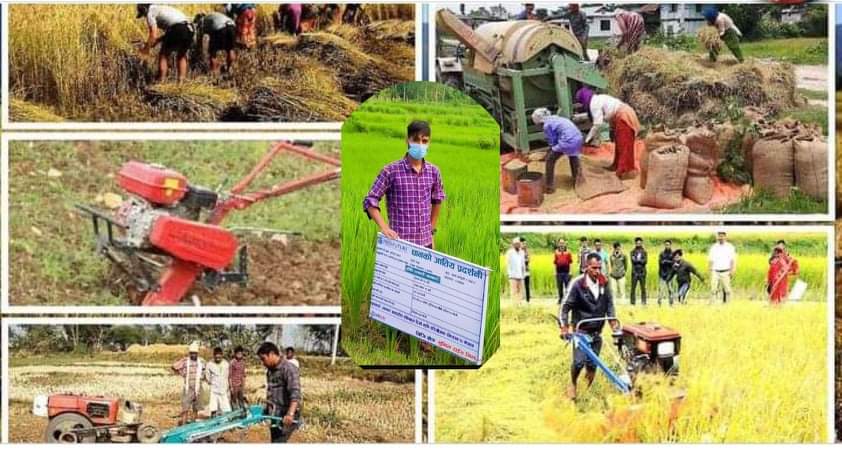 बुधबारसम्म भारी वर्षाको चेतावनी,उच्च सतर्कता अपनाउन आग्रह