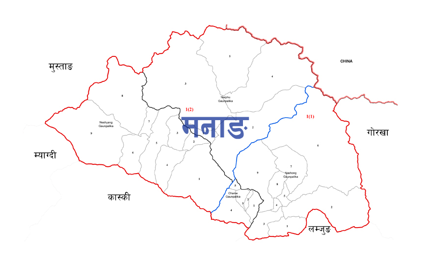 हिलाम्मे सडकमा धान रोपाइँ