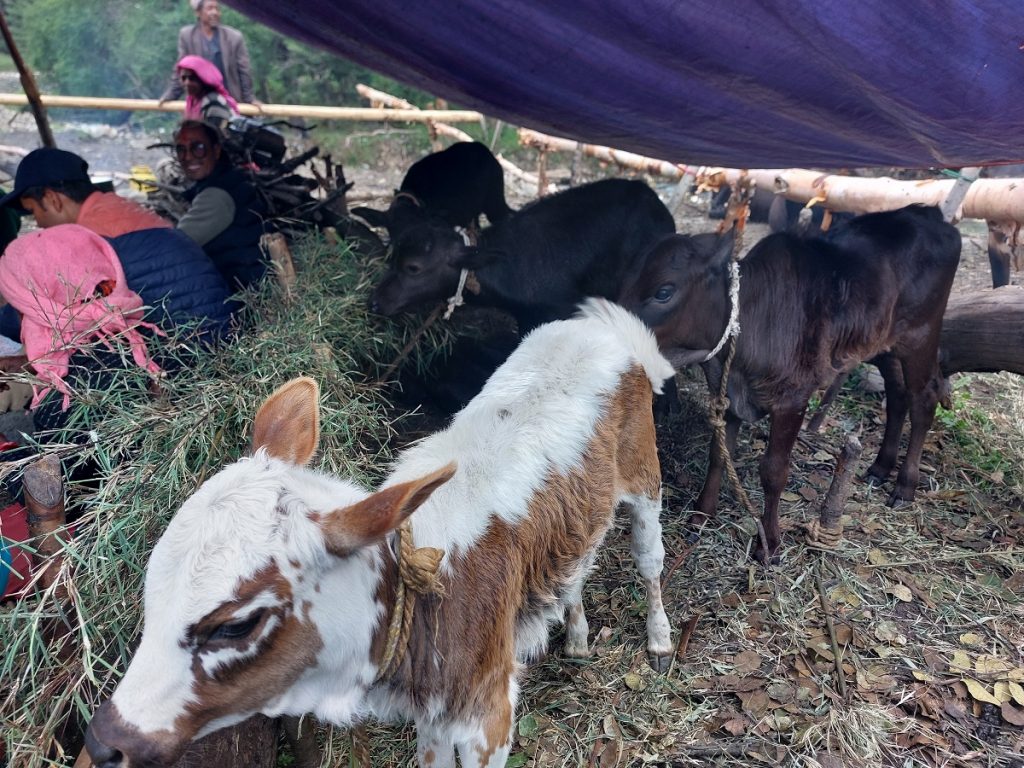 एसइई परीक्षाको नतिजा साउन १० गते सार्वजनिक हुने